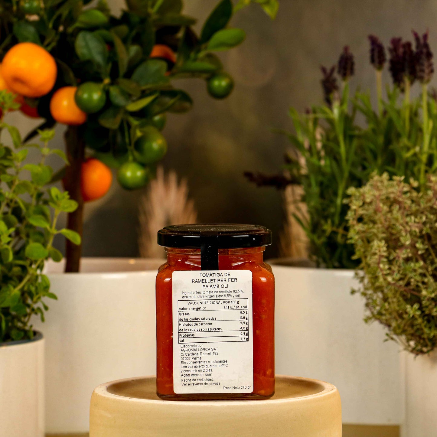 Pa amb Oli Tomatensauce Ramellet de Mallorca