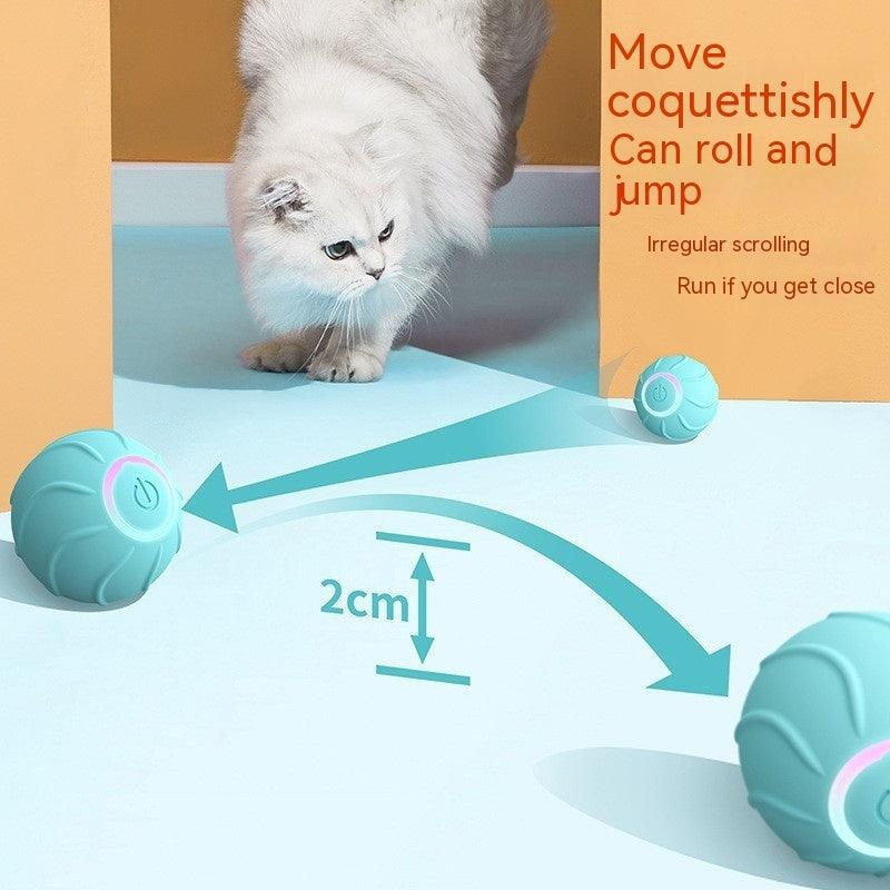 Smart Cat Rolling Ball – Der interaktive Spielspaß für Deine Katze - 24/Alaner Store