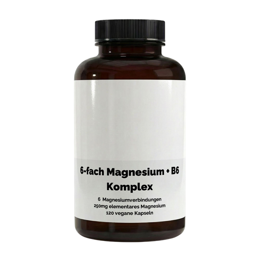 Magnesium 6x Komplex + B6 - 120 vegane Kapseln