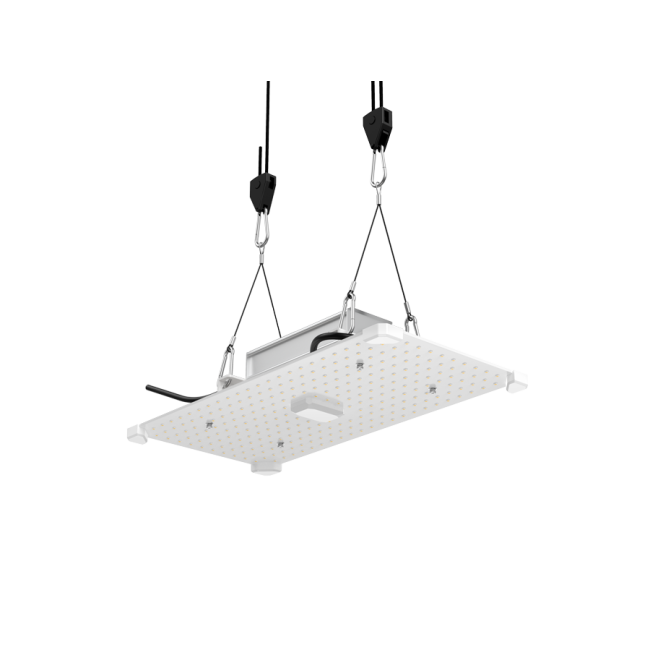 https://img.growin.de/media/catalog/product/cache/1/image/650x650/9df78eab33525d08d6e5fb8d27136e95/1/1/111701_bild_detail_01.png