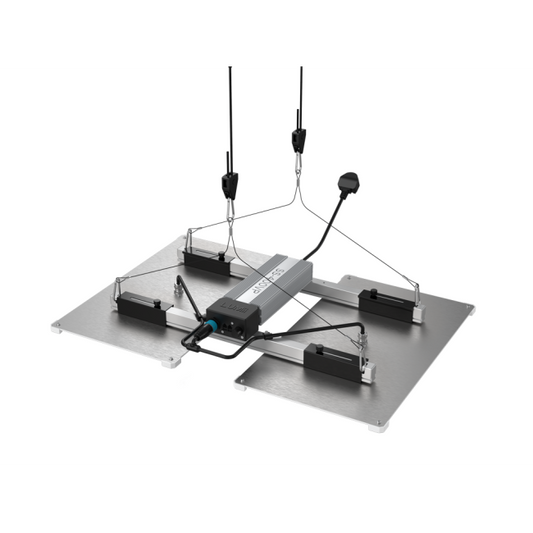 https://img.growin.de/media/catalog/product/cache/1/image/650x650/9df78eab33525d08d6e5fb8d27136e95/1/1/111703_bild_teaser.png