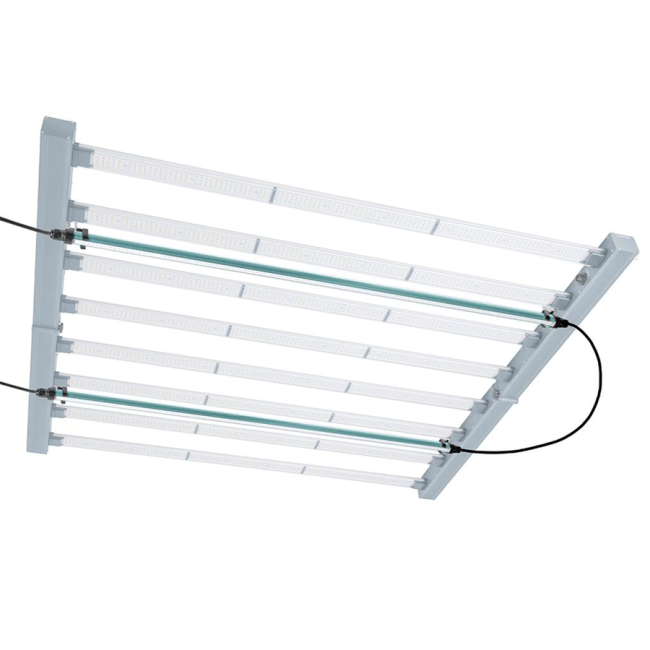 https://img.growin.de/media/catalog/product/cache/1/image/650x650/9df78eab33525d08d6e5fb8d27136e95/1/1/111705_bild_detail_02.png
