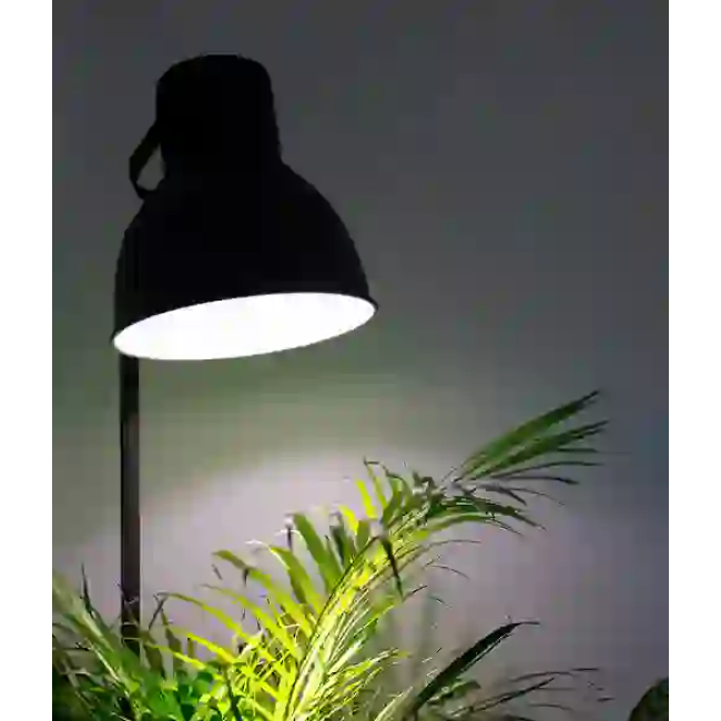 https://img.growin.de/media/catalog/product/cache/1/image/650x650/9df78eab33525d08d6e5fb8d27136e95/1/1/112597_bild_detail_05.png