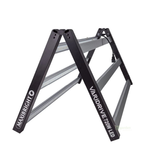 https://img.growin.de/media/catalog/product/cache/1/image/650x650/9df78eab33525d08d6e5fb8d27136e95/1/1/113053_bild_detail_01.png
