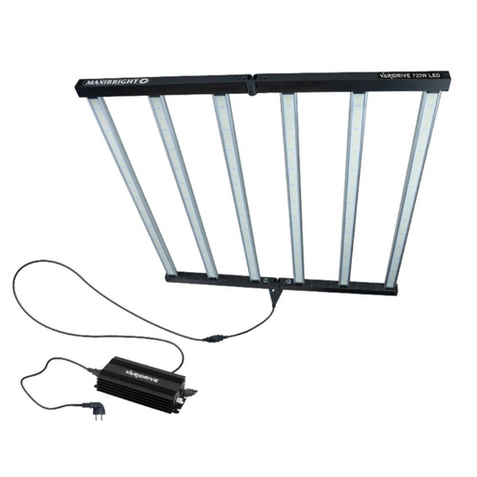 https://img.growin.de/media/catalog/product/cache/1/image/650x650/9df78eab33525d08d6e5fb8d27136e95/1/1/113053_bild_teaser.png