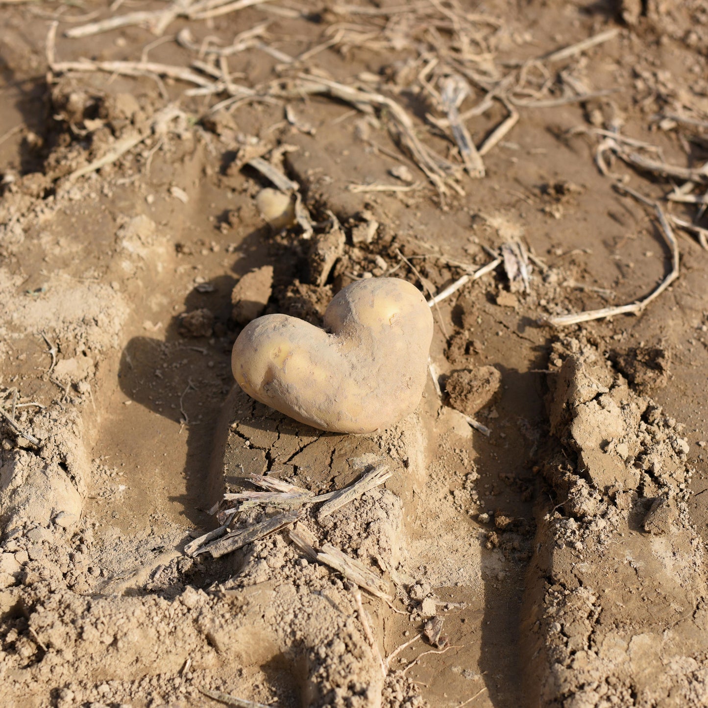 Gutschein Oberschuirshof