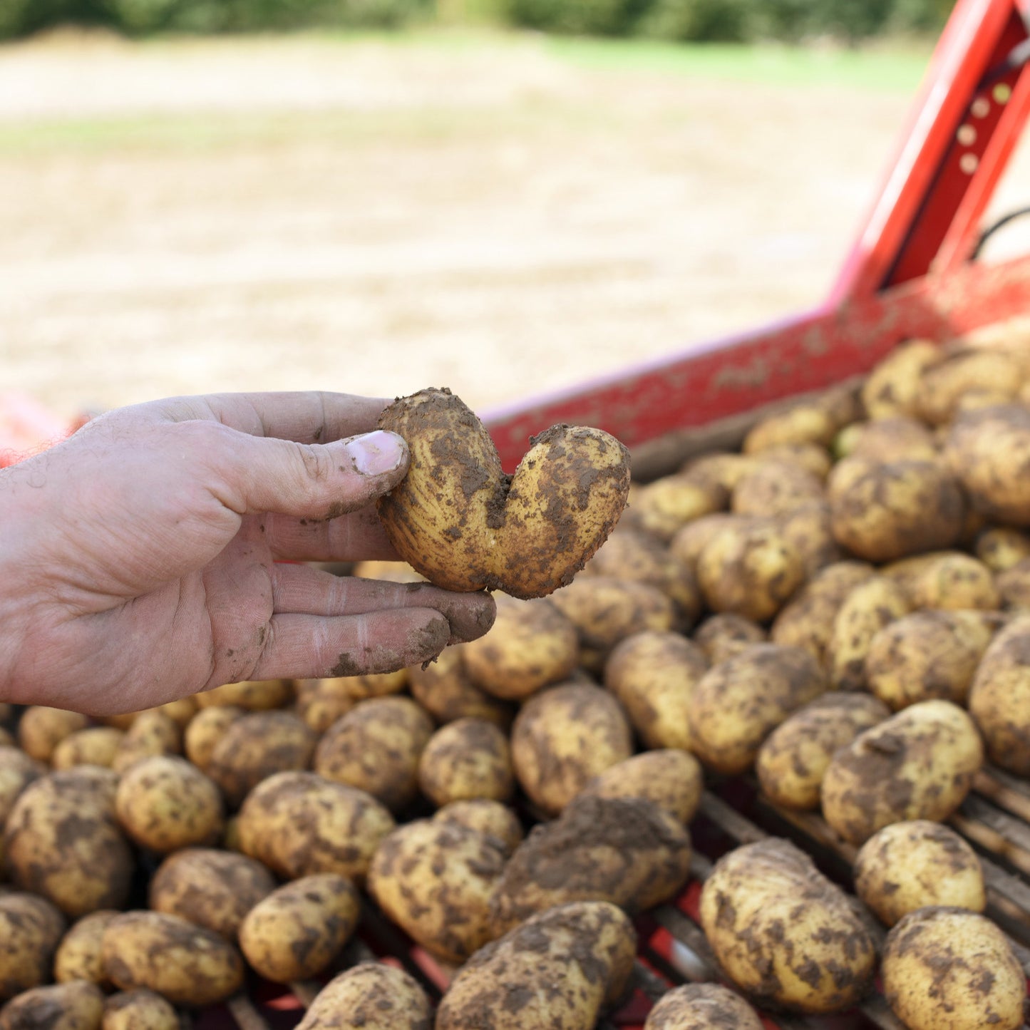 Gutschein Oberschuirshof