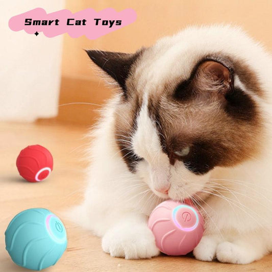 Smart Cat Rolling Ball – Der interaktive Spielspaß für Deine Katze - 24/Alaner Store