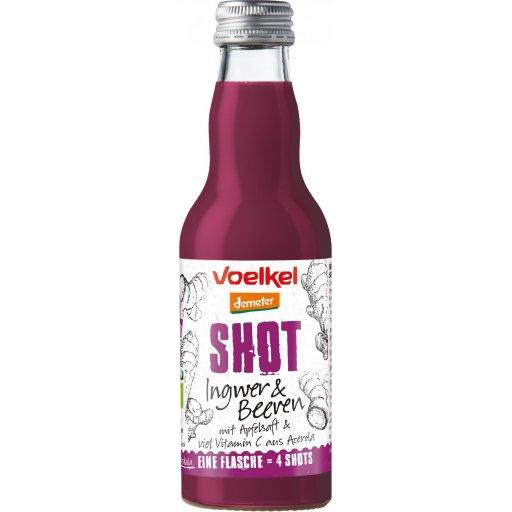 Shot Ingwer & Beeren, 0,2l - 24/Alaner Store