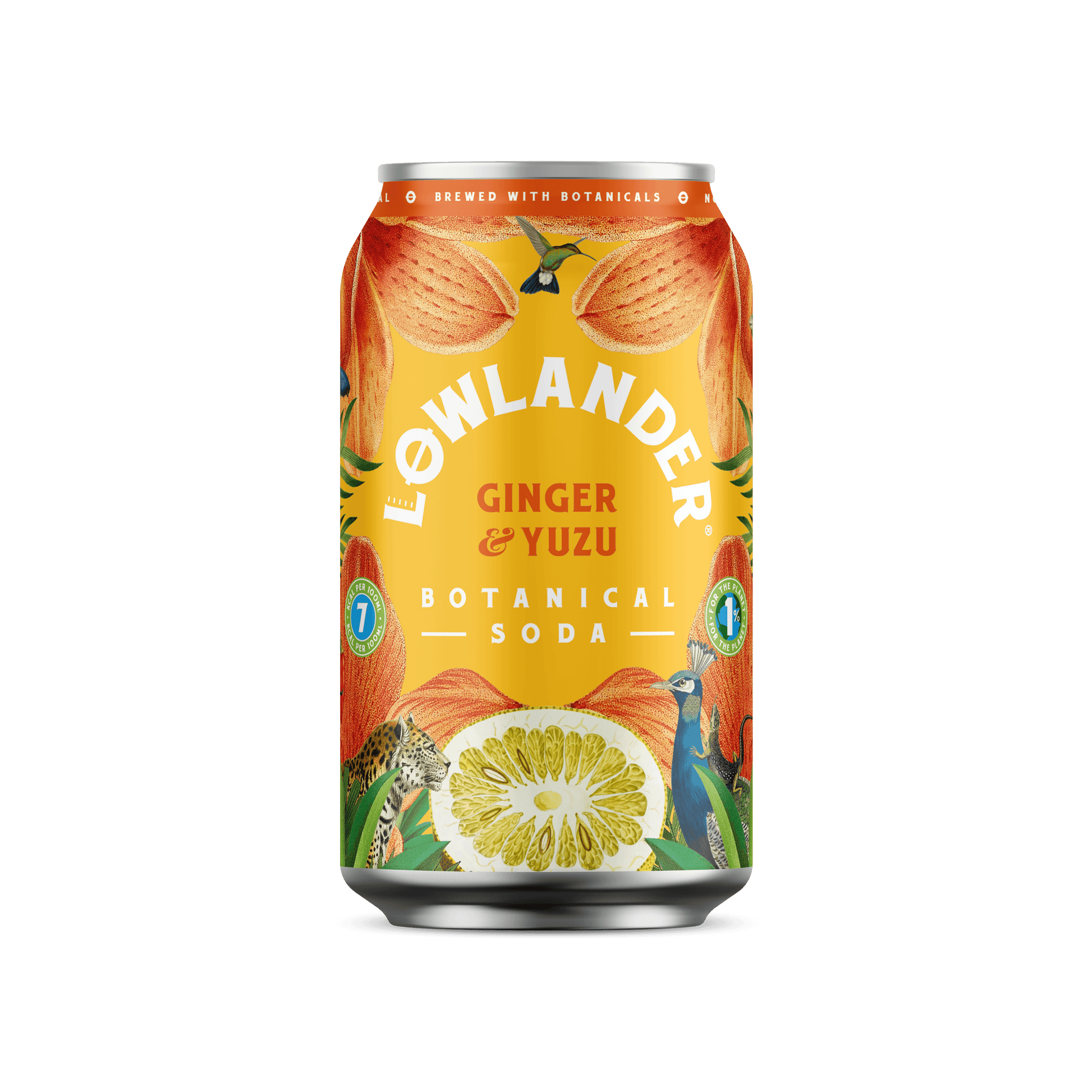 Lowlander Ginger & Yuzu Botanical Soda - 24/Alaner Store