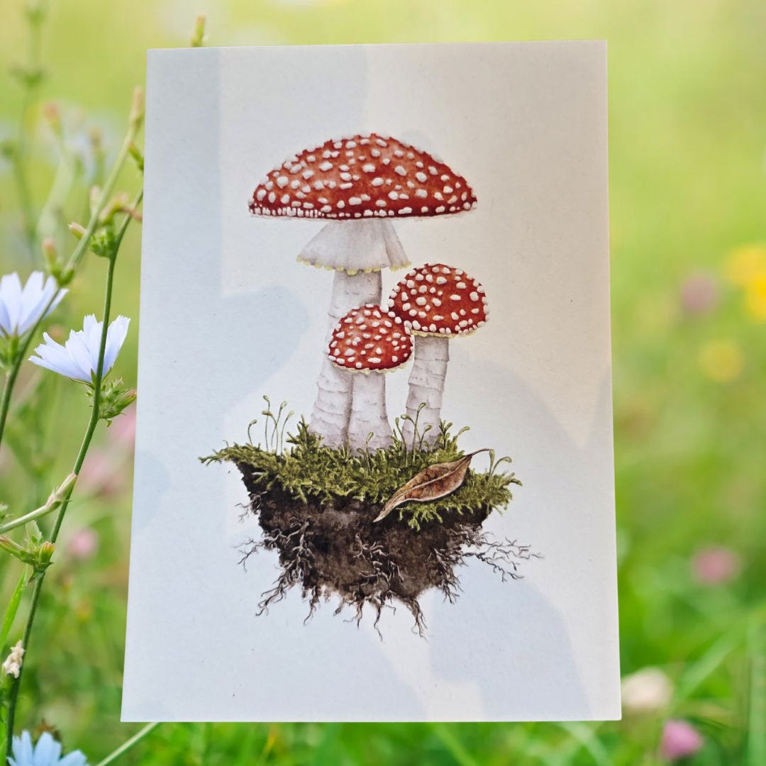Postkarte Fliegenpilz