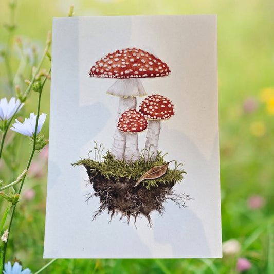 Postkarte Fliegenpilz