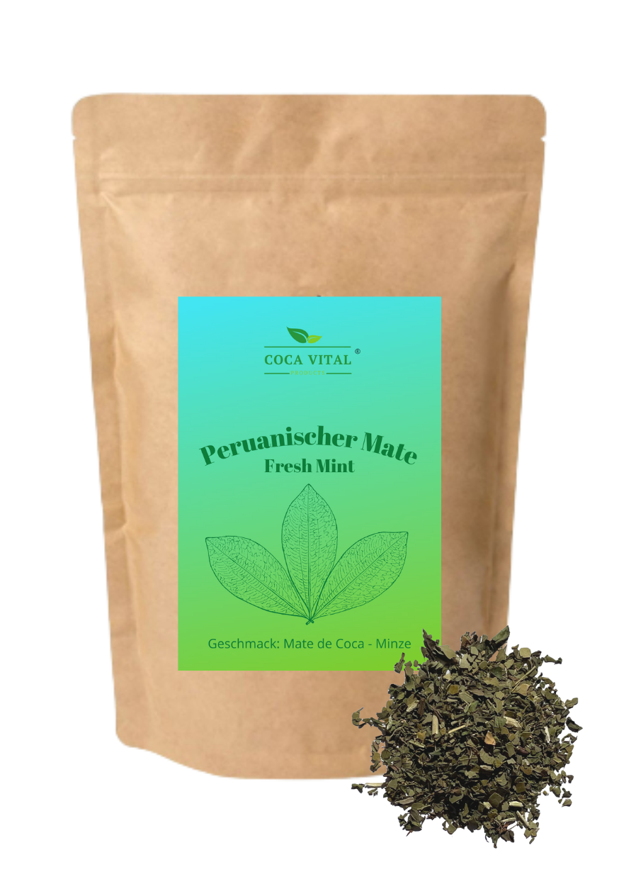Fresh Mint (Mate de Coca + Minze)