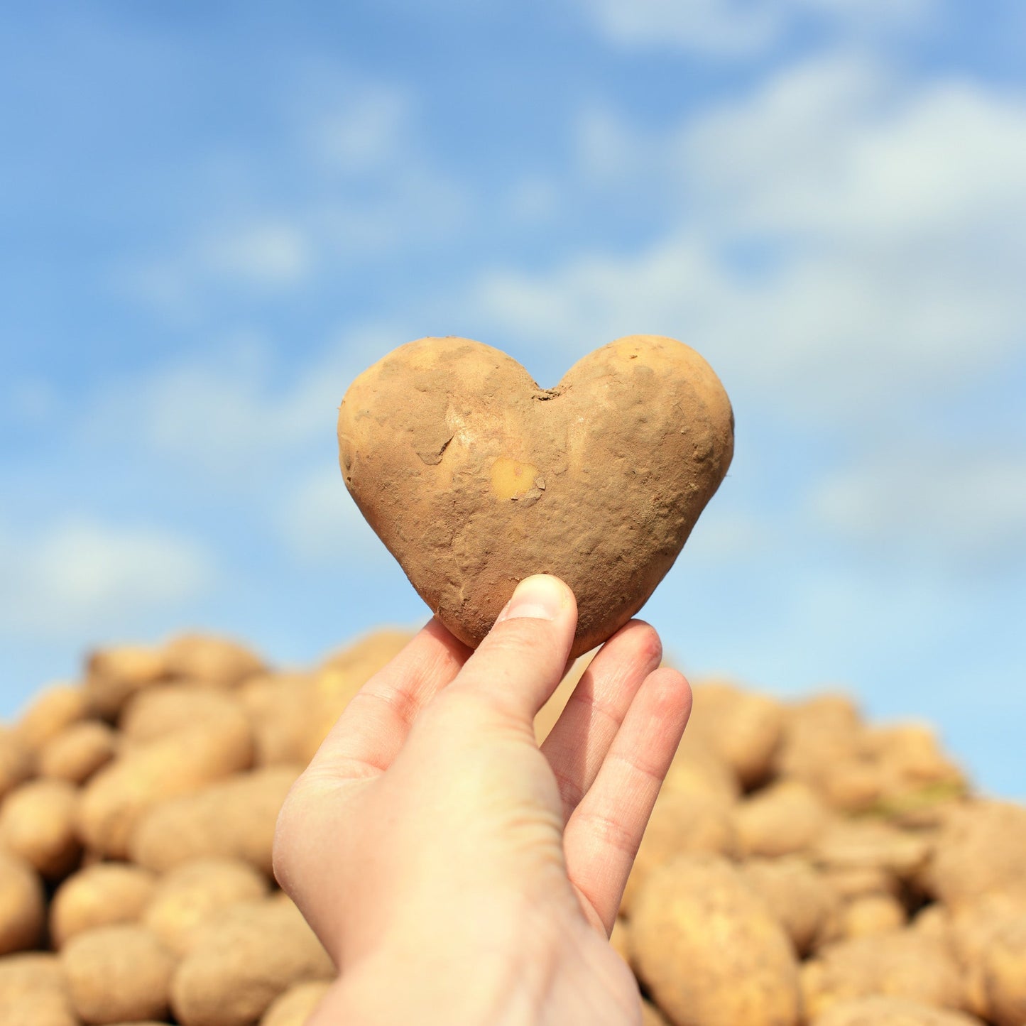 Gutschein Oberschuirshof