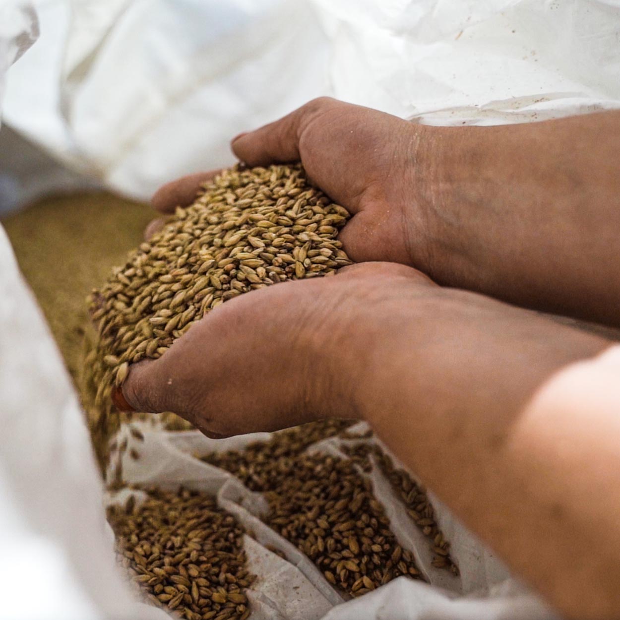 Habbels Gin (42% vol)