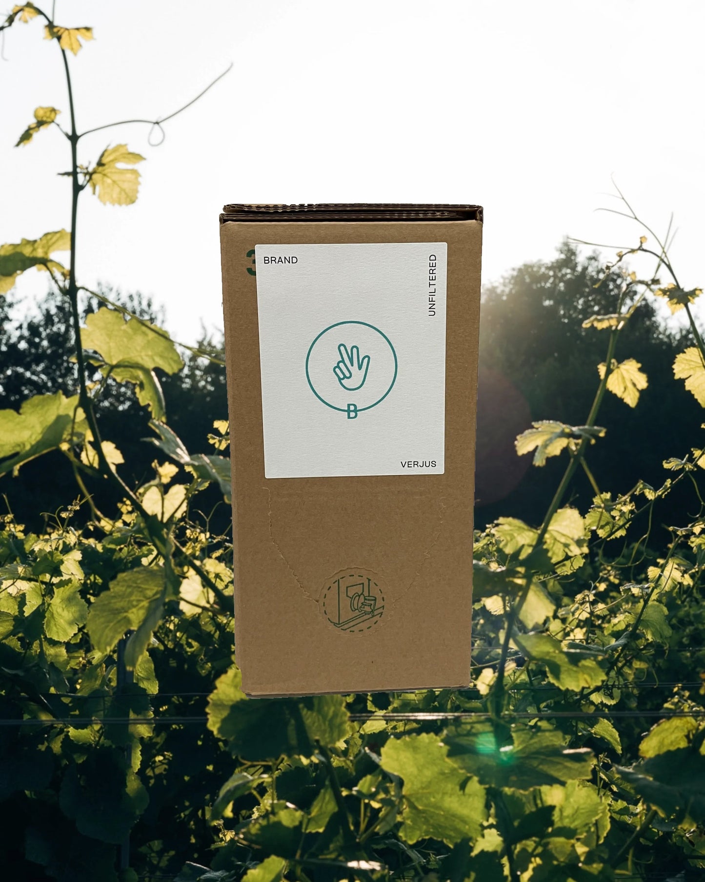 3L Bio Verjus