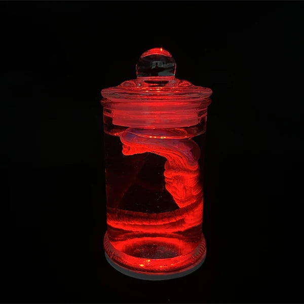 Alien Glow Jar – Xenomorph Embryo