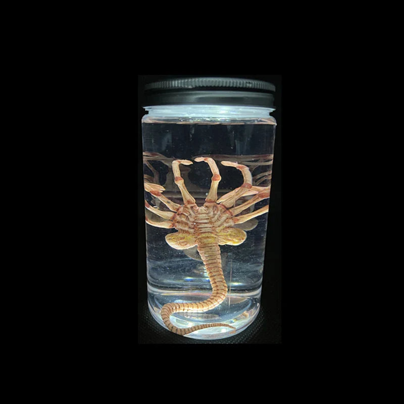 Alien Glow Jar – Xenomorph Embryo