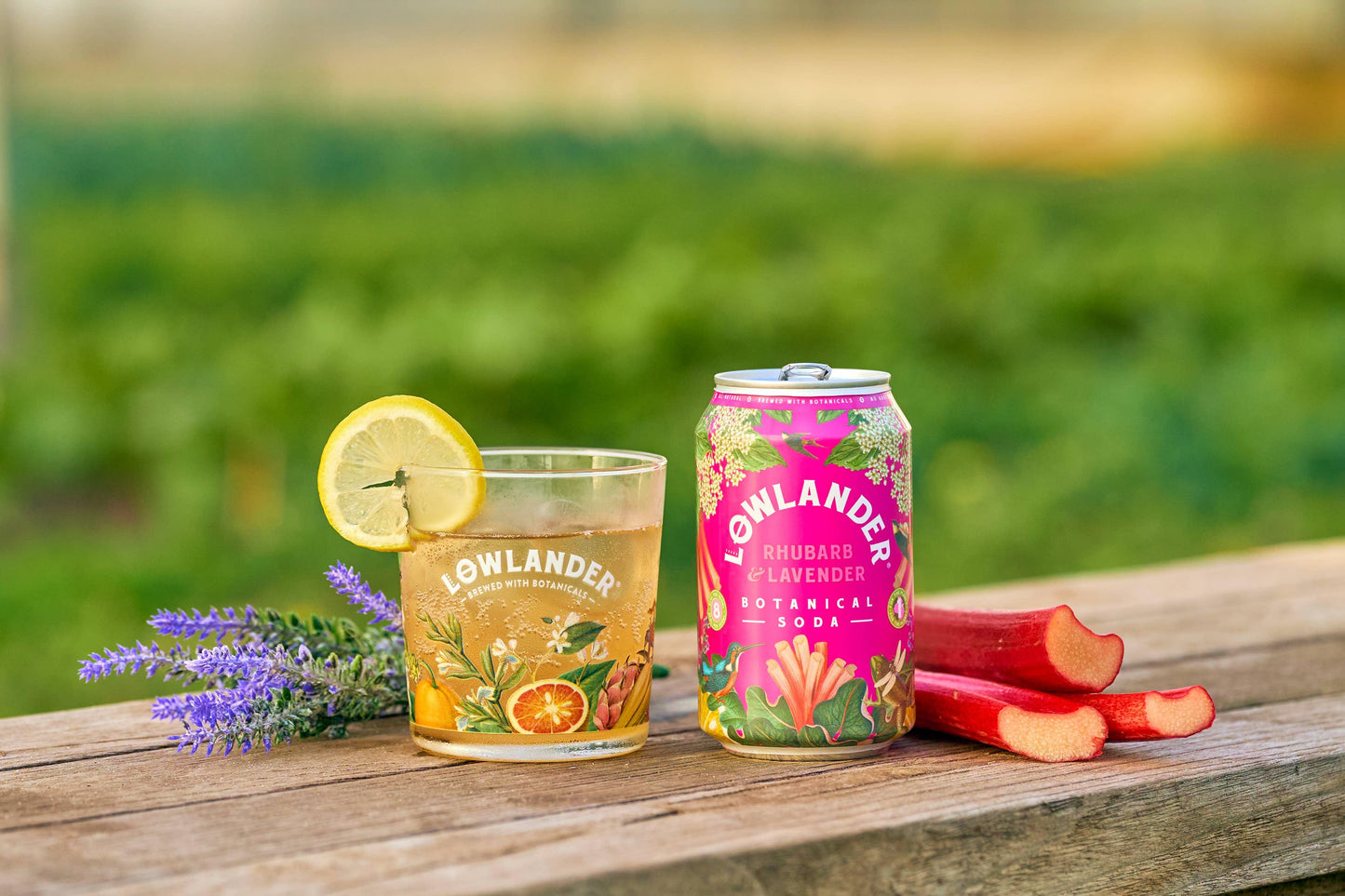 Lowlander Botanical Soda mit Rhabarber und Lavendel - 24/Alaner Store