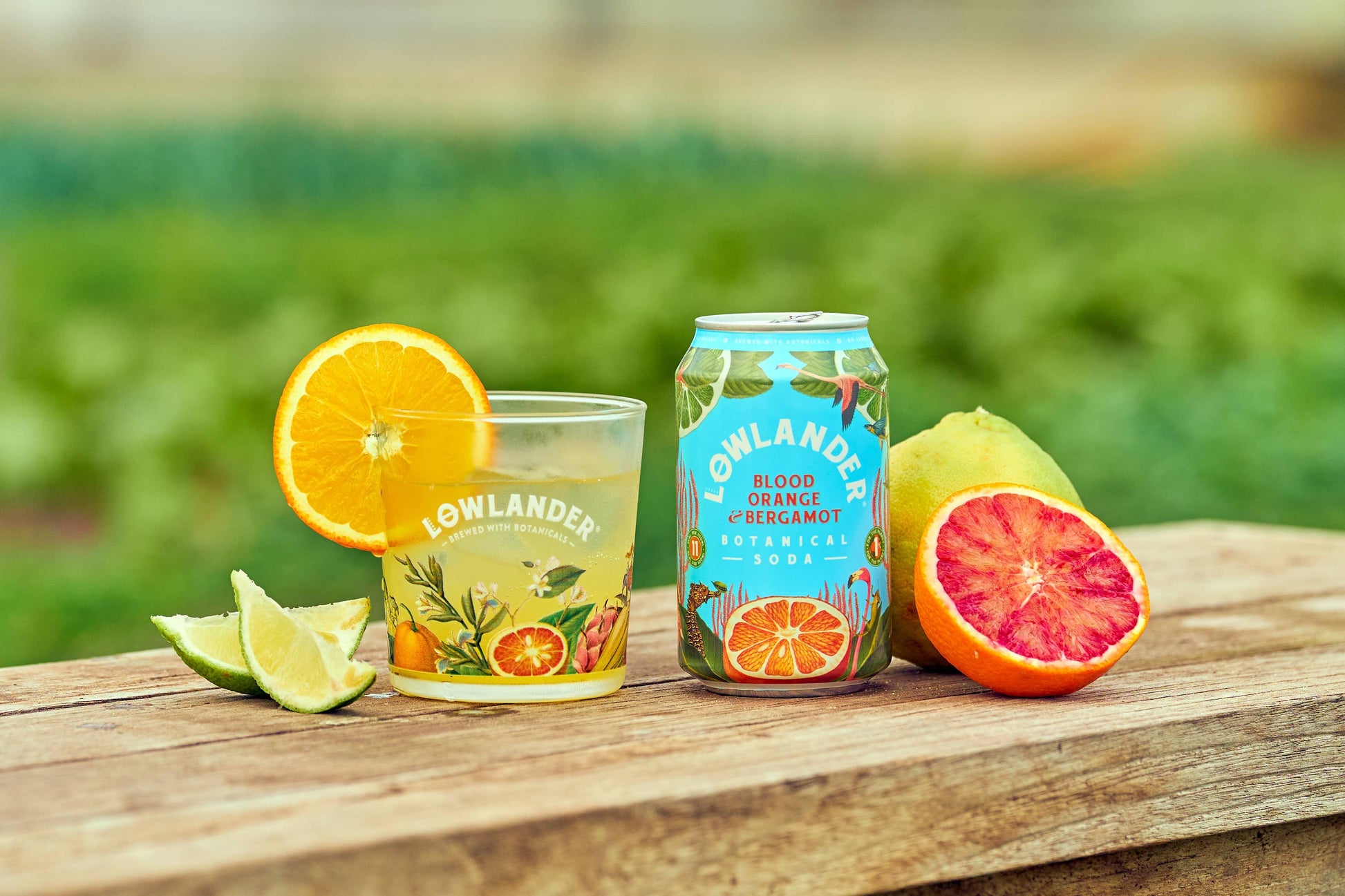 Lowlander Botanical Soda mit Blutorange und Bergamotte - 24/Alaner Store